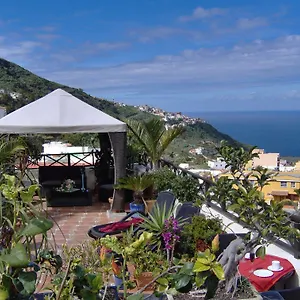 https://san-antonio-tenerife.tenerifehoteles.net